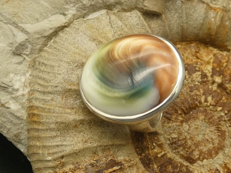 Ring Shiva´s Auge, Operculum, rund, Silber 925, Größe 57 Ring Shiva´s Auge, Operculum, rund, Silber 925, Größe 57
