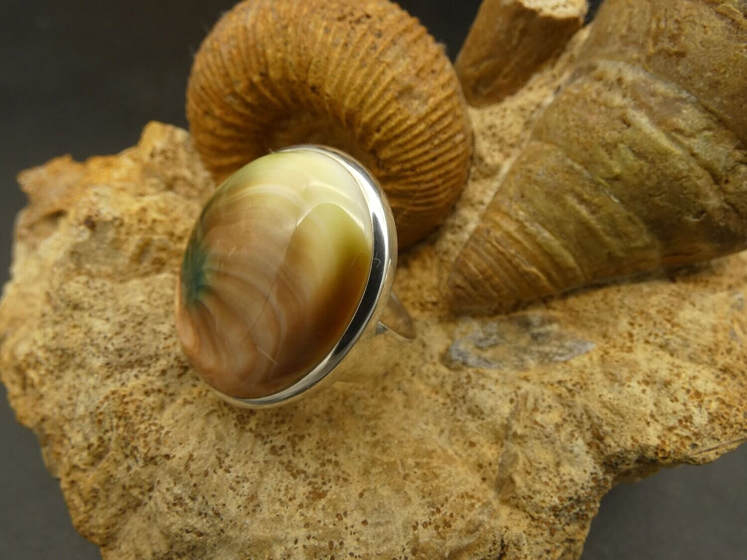 Ring Shiva´s Auge, Operculum, rund, Silber 925, Größe 58