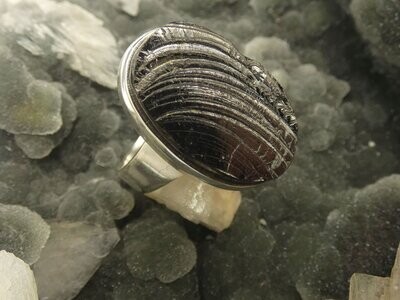 Ring Shungite (Schungit), oval, Silberfassung 925, Größe 62,5
