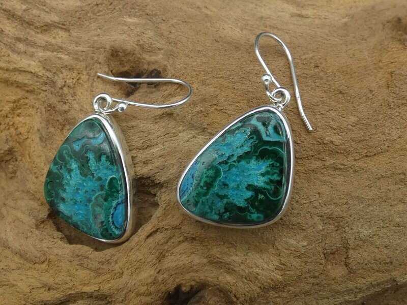 Ohrhänger Chrysocoll-Malachite, Freiform, Silberfassung 925 Ohrhänger Chrysocoll-Malachite, Freiform, Silberfassung 925