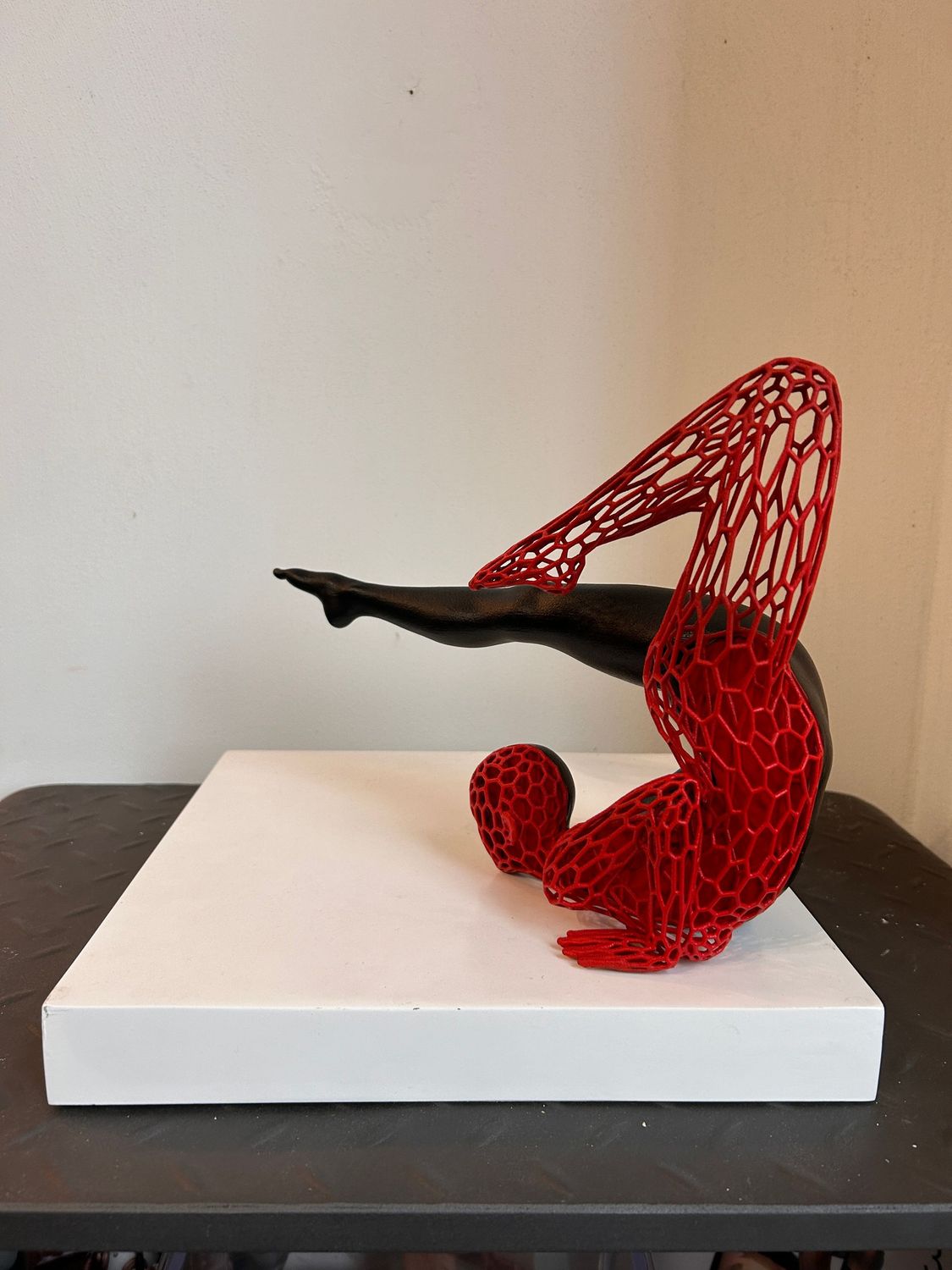 Andrea Giorgi  "hommage au Cirque du Soleil"