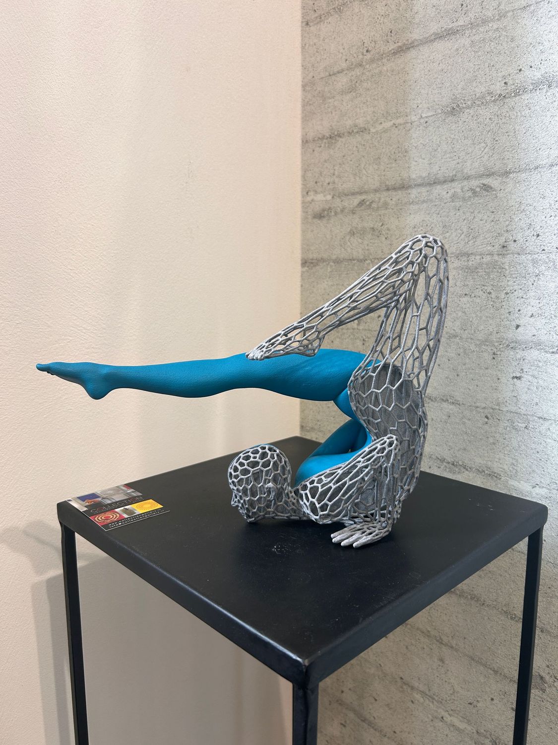 Andrea Giorgi  "hommage au Cirque du Soleil" blu grigio