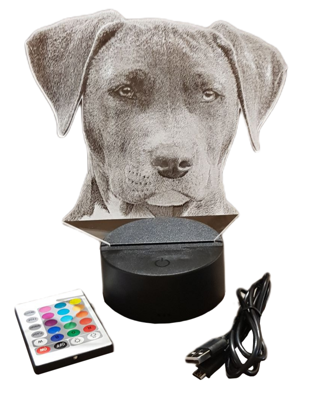 Personalisierte Acryl Lampe (komplett)