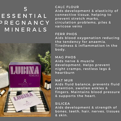 PREGNANCY KIT