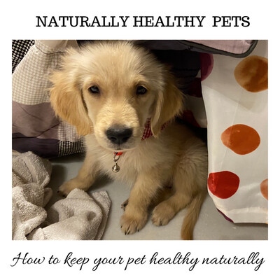 Remedies for pets