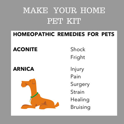 PET CONSULTATION