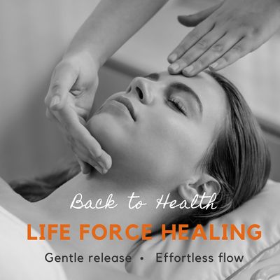 Life Force Healing : The Still PoInt &amp; The Dance