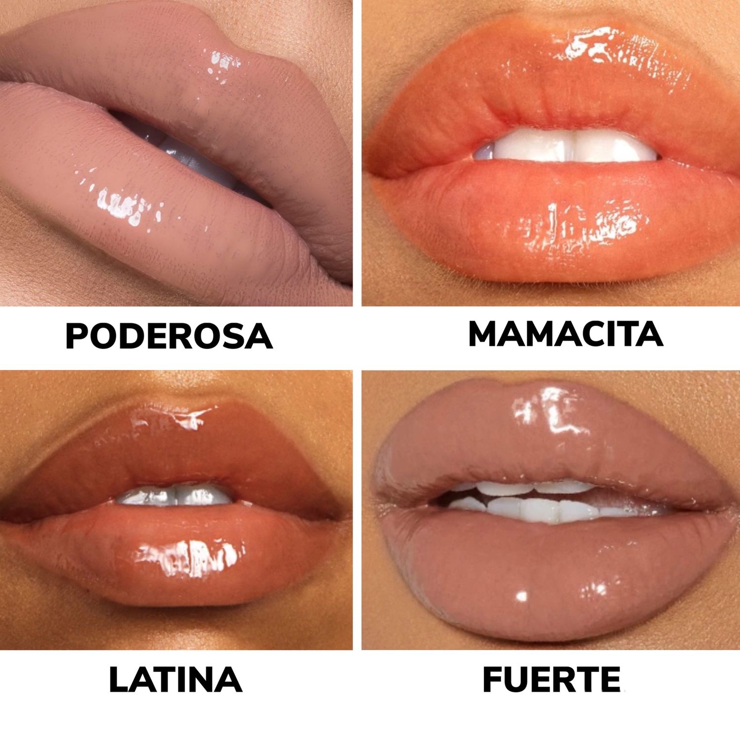 NEW LATINA GLOSS