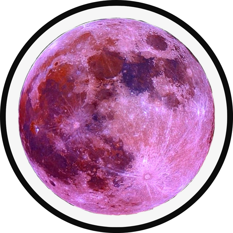 Luna 16oz
