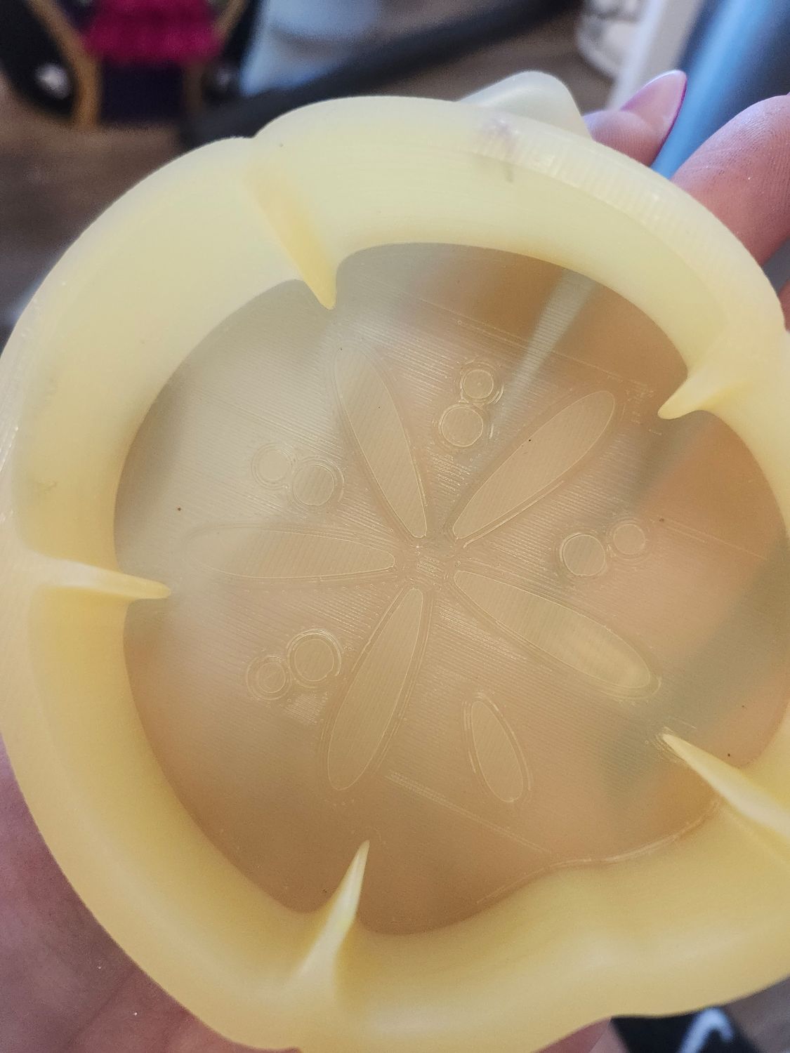 Sand dollar