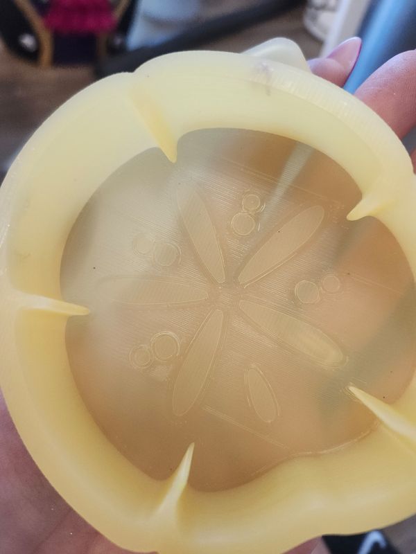 Sand dollar