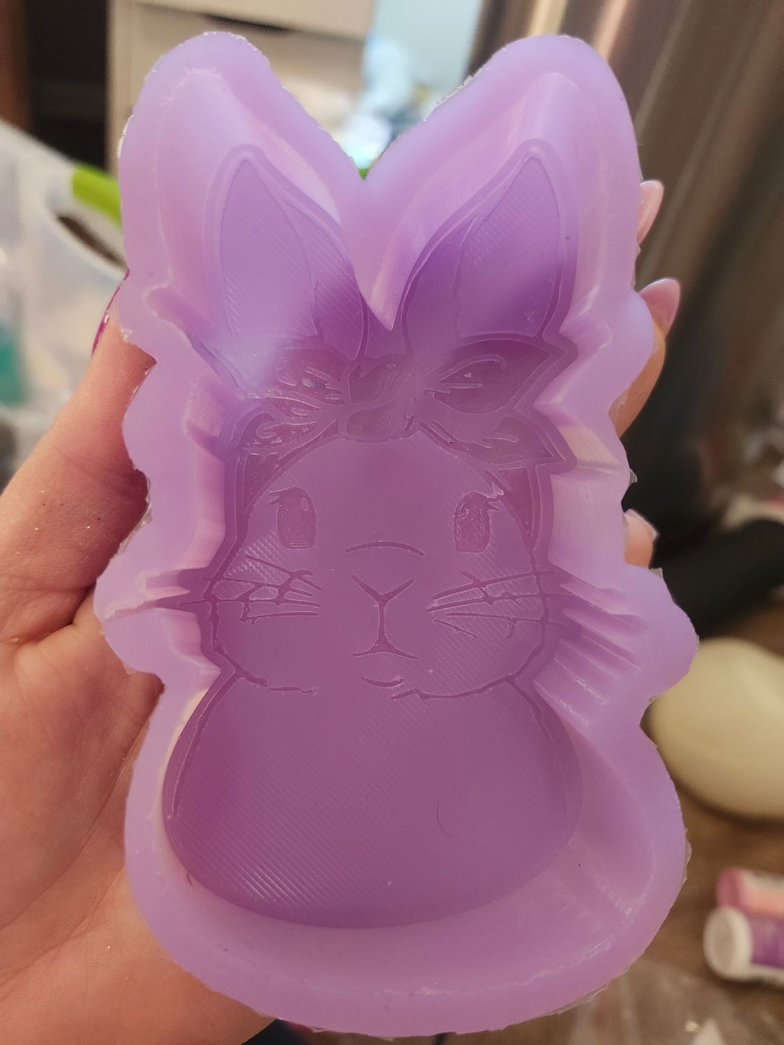Cute bunny