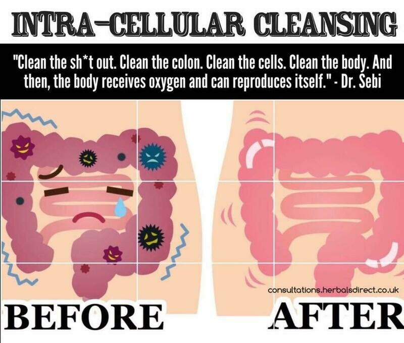 Colon Cleanser | Detox (Dr. Sebi Inspired)