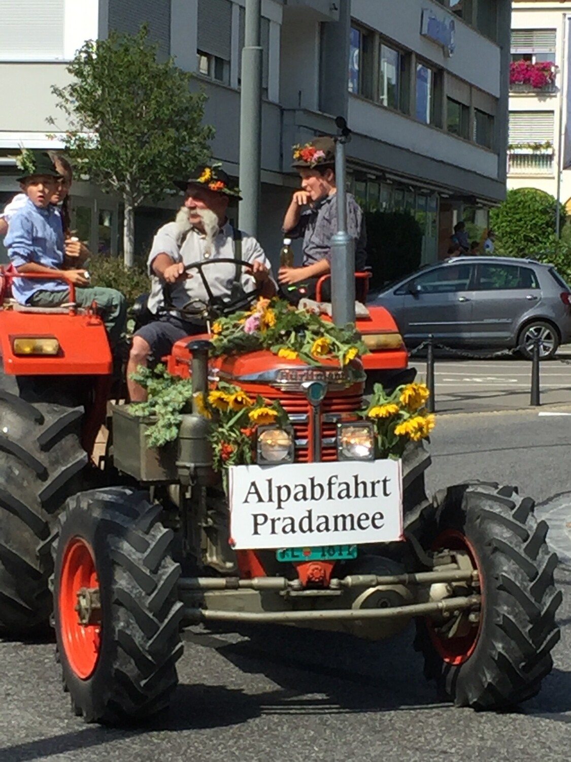 Alp Käse Pradamée 2025 ca. 200g