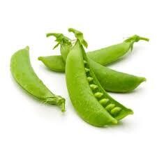 sugar snap peas (3&quot; pot)