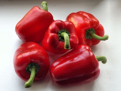 red sweet bell pepper (3&quot; pot)