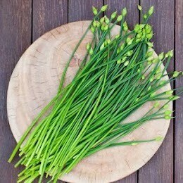 chives  (4&quot; pot)