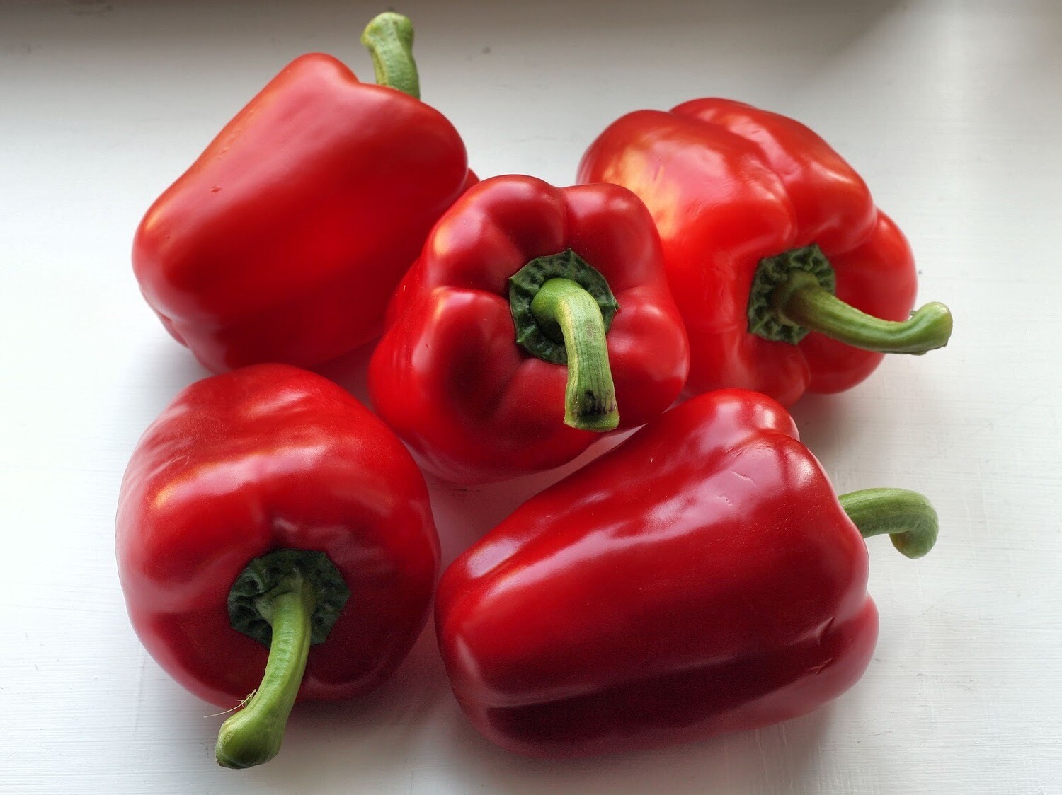 red sweet bell pepper (4" pot)