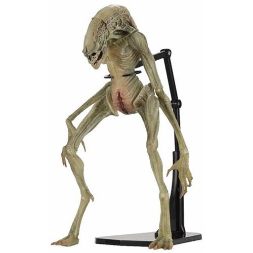 Neca 7-inch Deluxe Alien Xenomorph Hybrid Newborn