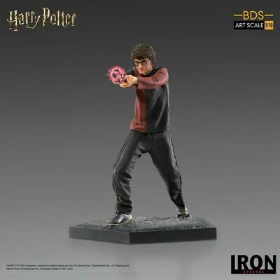 Iron Studios Harry Potter BDS Art Scale 1/10 – Harry Potter