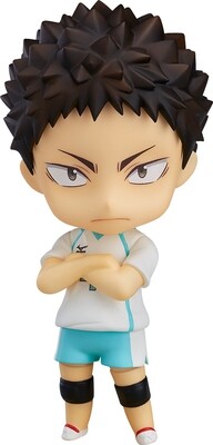 PRE-ORDER Good Smile Nendoroid Haikyu Hajime Iwaizumi