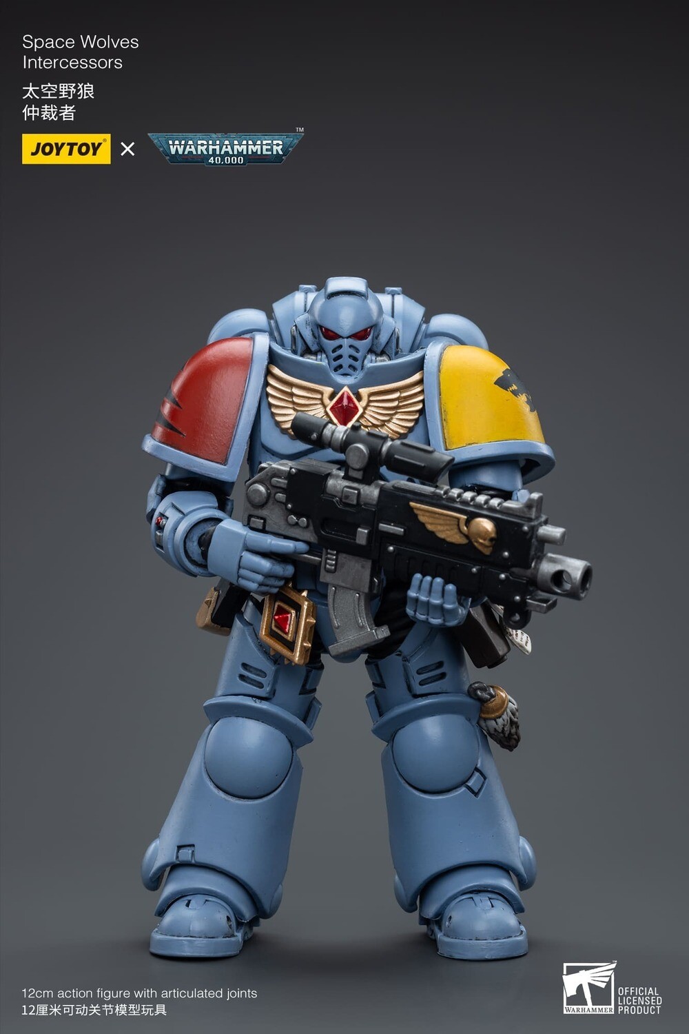 PRE-ORDER Joy Toy Warhammer 40k Space Wolves
Intercessors