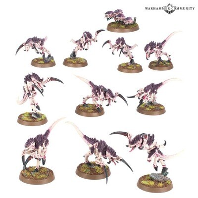 Pre Order: Warhammer: Hormagaunts