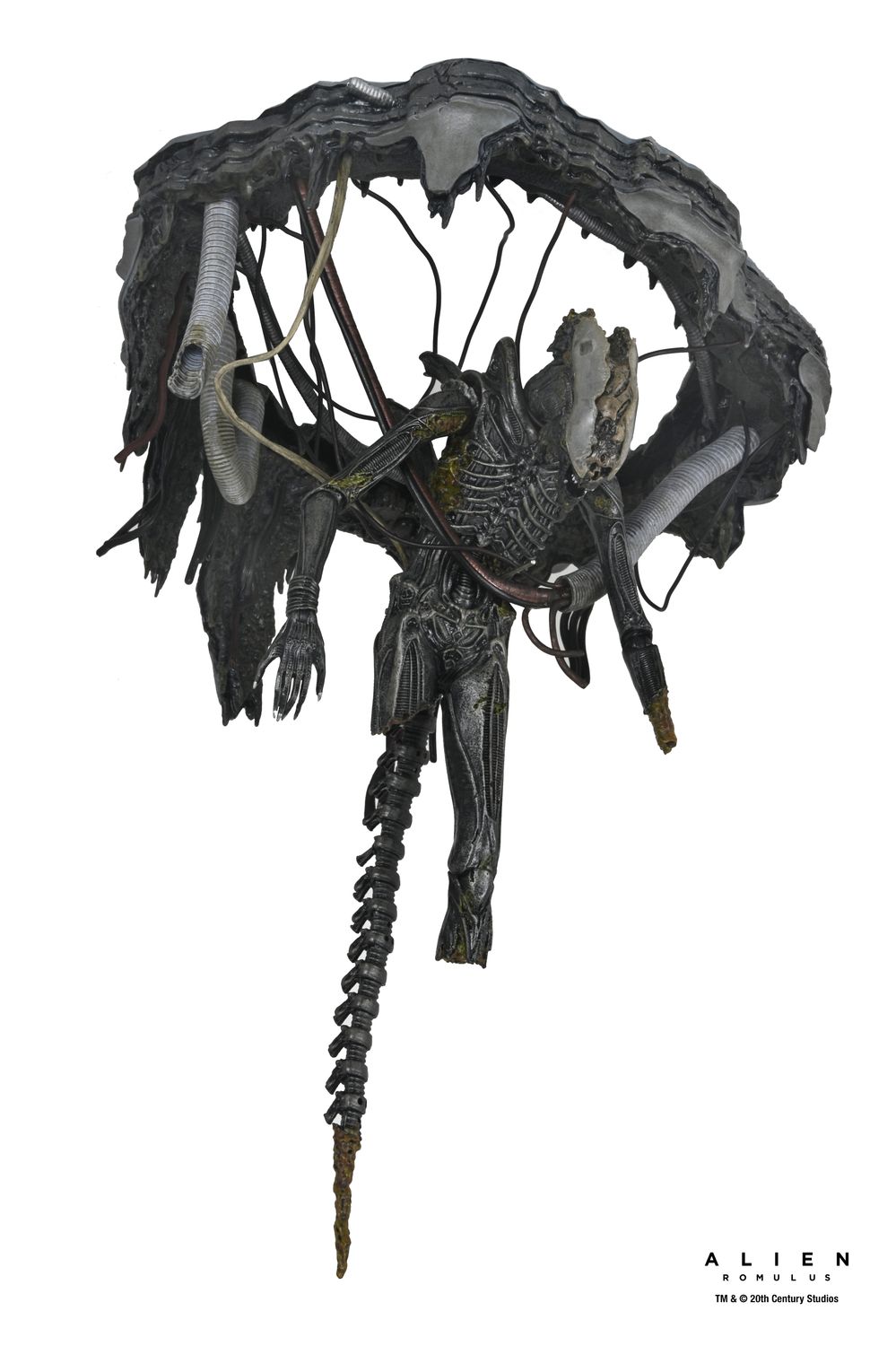 PRE-ORDER NECA Alien Romulus - Suspended Lab Xenomorph XX121 7&quot; Deluxe Figure