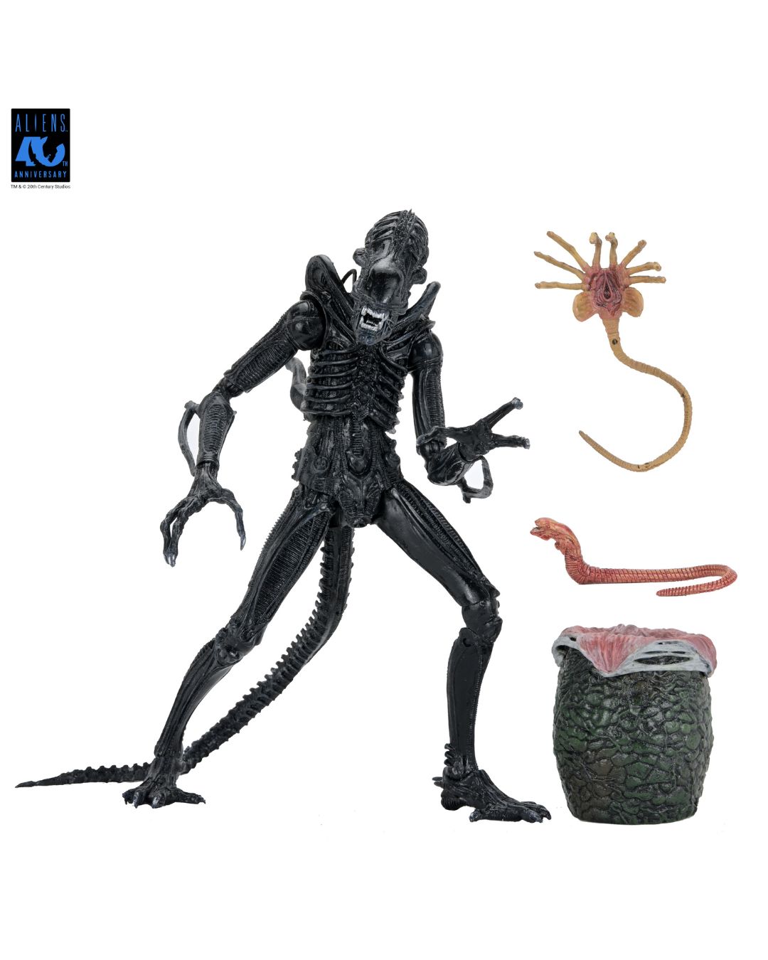 PRE-ORDER NECA Aliens 40th Anniversary Ultimate Warrior Xenomorph (Black) 7" Action Figure
