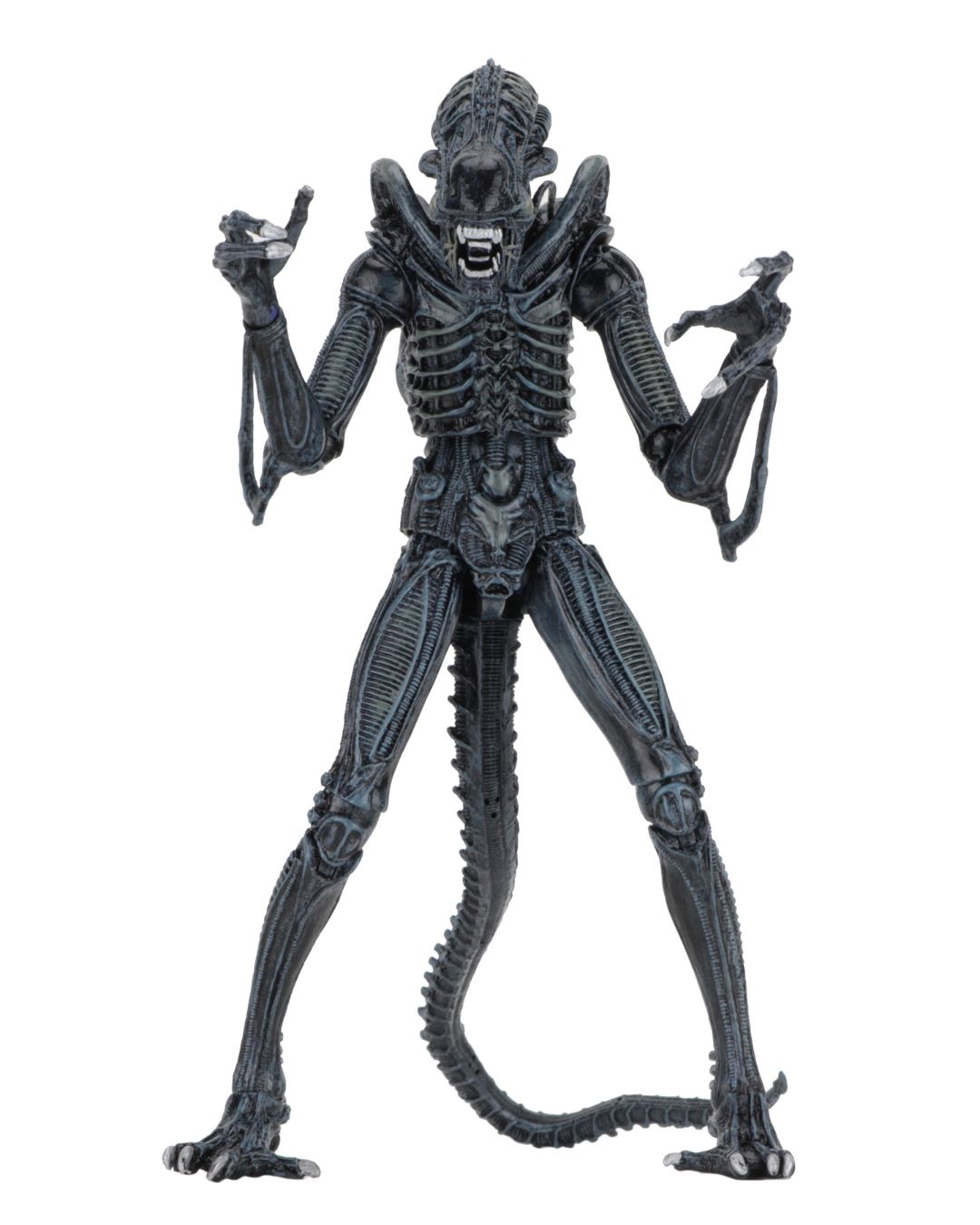 PRE-ORDER NECA Aliens (1986) - Ultimate Alien Blue 7" Action Figure