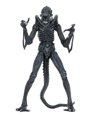PRE-ORDER NECA Aliens (1986) - Ultimate Alien Blue 7" Action Figure