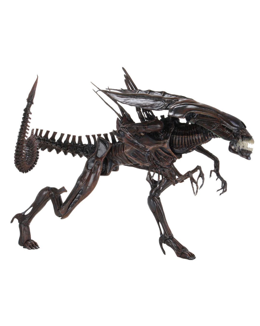PRE-ORDER NECA Aliens Resurrection - Alien Ressurection Queen Deluxe Ultra Deluxe Boxed Figure