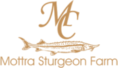 Mottra America Caviar