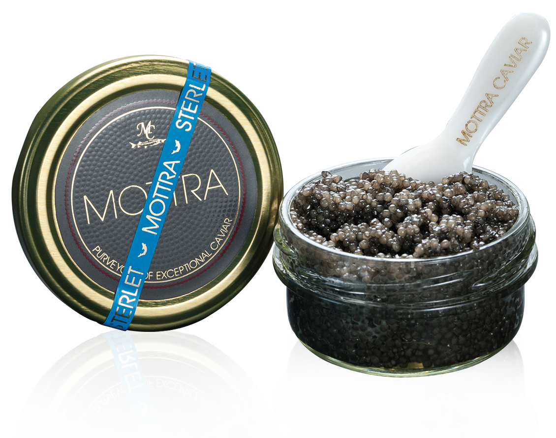 MOTTRA Caviar - Finest Selection Sterlet Caviar 2.0oz