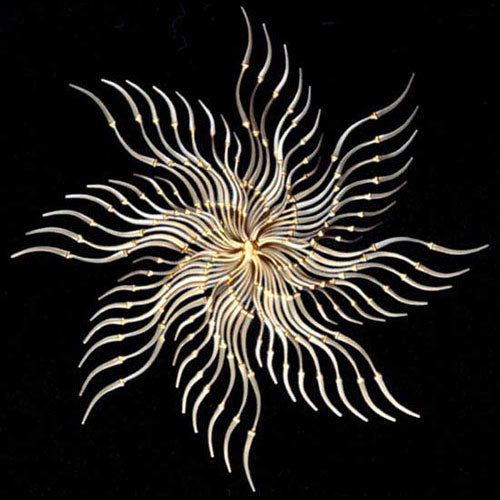 Snowflake (SS)