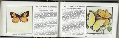 Mini butterfly book 1948 collage papers **INSTANT DOWNLOAD** 10 pages