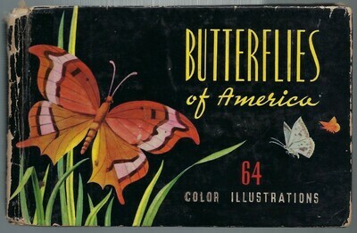 Mini butterfly book 1948 collage papers **INSTANT DOWNLOAD** 10 pages