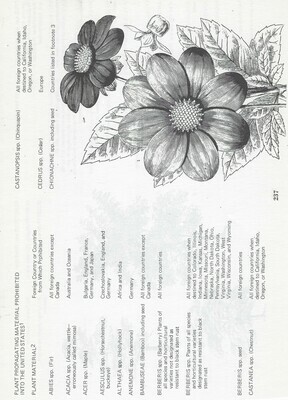 Vintage Plant Book collage papers **INSTANT DOWNLOAD** 12 pages