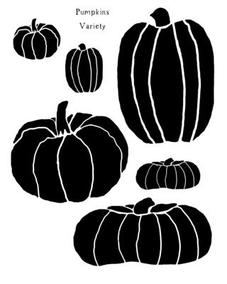 Pumpkins Variety stencil 8x10