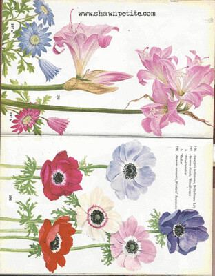 Sacred in the ordinary collage papers **INSTANT DOWNLOAD** 7 pages