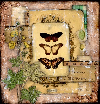 "Beautiful" butterfly Print on Wood 8x8 Overstock
