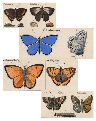 Vintage Muted Butterflies collage papers **INSTANT DOWNLOAD** 9 pages