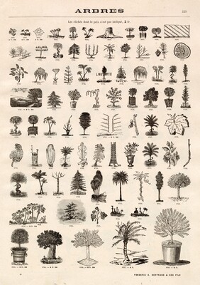 Tree Drawings collage pak instant download 10 pages