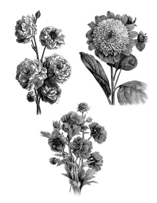 Floral Drawing collage papers **INSTANT DOWNLOAD** 5 pages