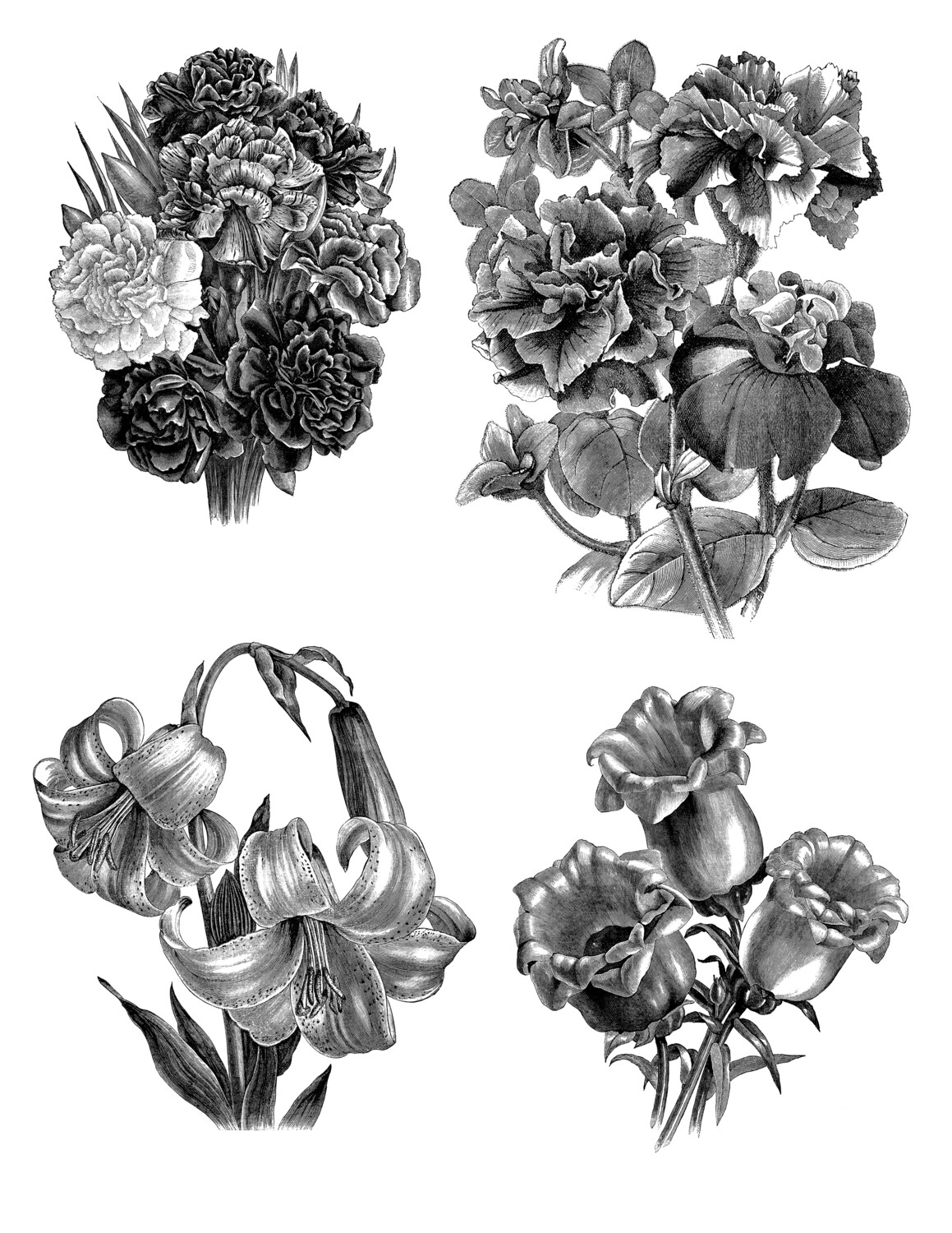 Floral Drawing collage pack 5 pages instant download