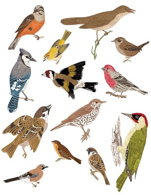 Birds, Birds, Birds, collage papers **INSTANT DOWNLOAD** 5 pages