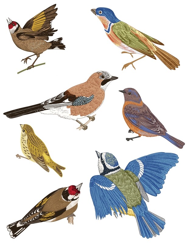 Birds, Birds, Birds, collage papers **INSTANT DOWNLOAD** 5 pages
