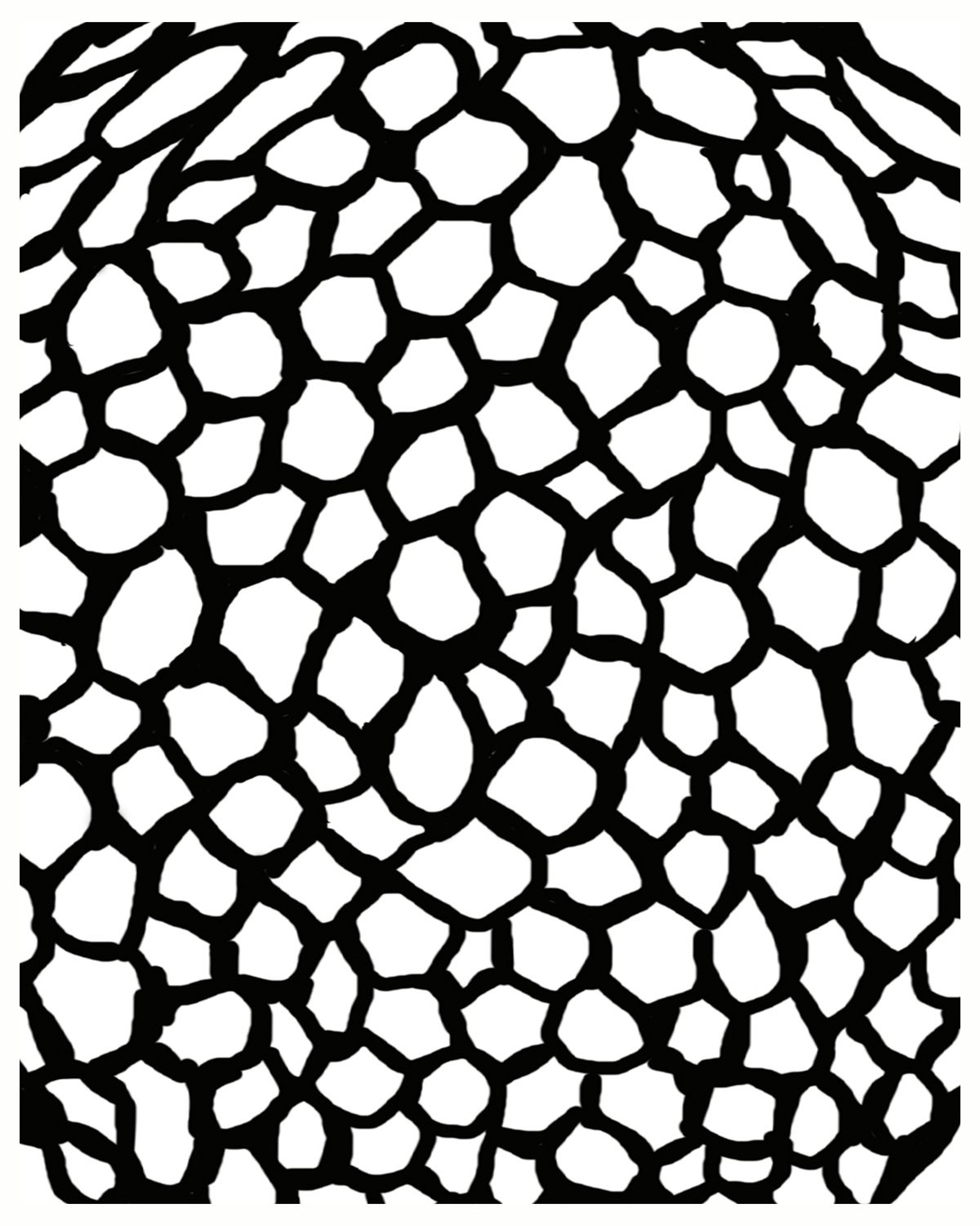 Snakeskin mask stencil 5x8