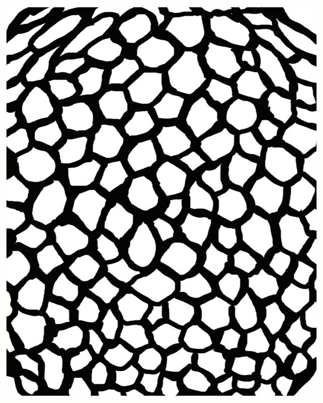 Snakeskin mask stencil 5x8