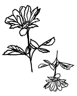 Flower Mask 1 with masks stencil 9x12